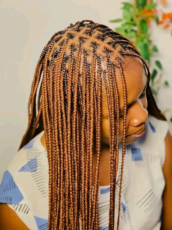 Color braids close-up